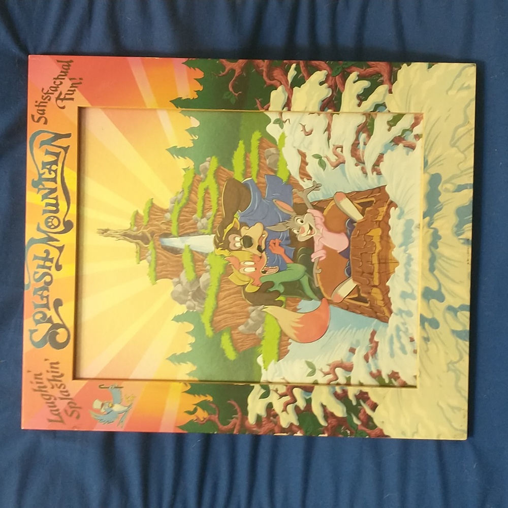 Splash mountain 8x10 picture frame
